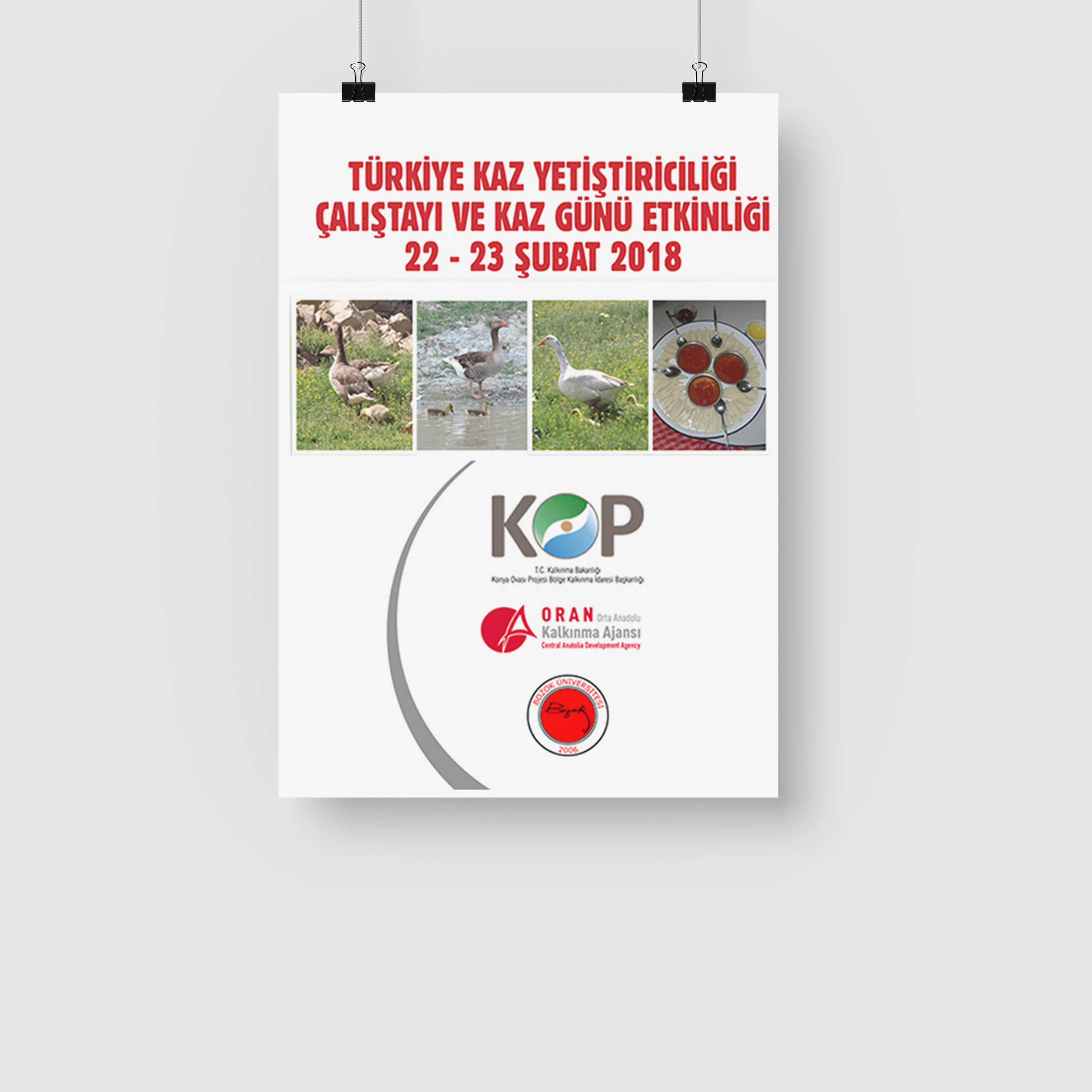 Türkiye Kaz Yetiştiriciliği Çalıştayı ve Kaz Günü Etkinliği